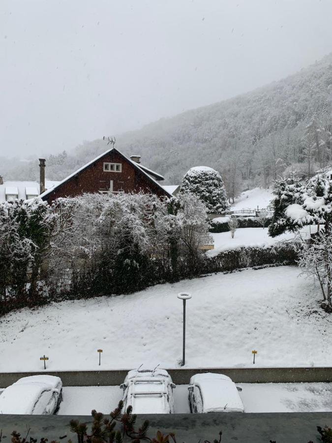 Vue Montagne Avec Wifi Appartement Saint-Lary-Soulan
