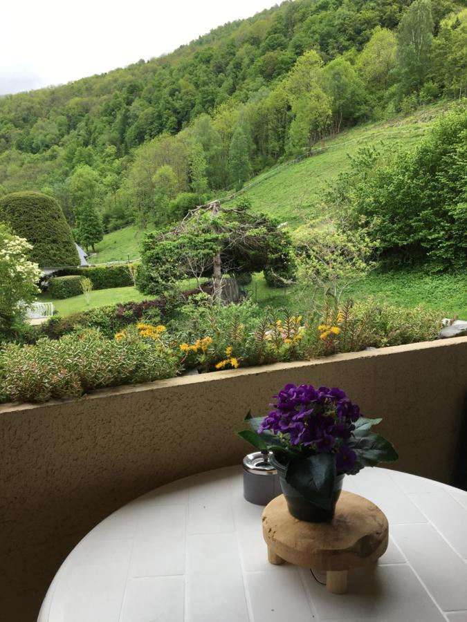 Vue Montagne Avec Wifi
